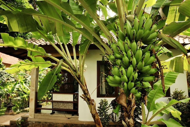 Bali Dream House, Karangasem, Indonesia