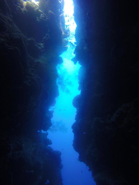 Biorock Homestay & Dive Center Pemuteran, Pemuteran, Indonesia