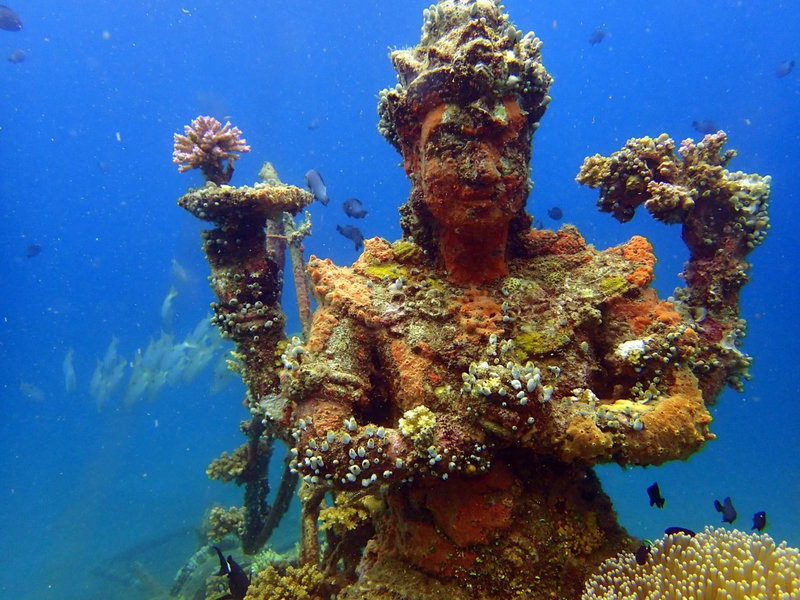 Biorock Homestay & Dive Center Pemuteran, Pemuteran, Indonesia