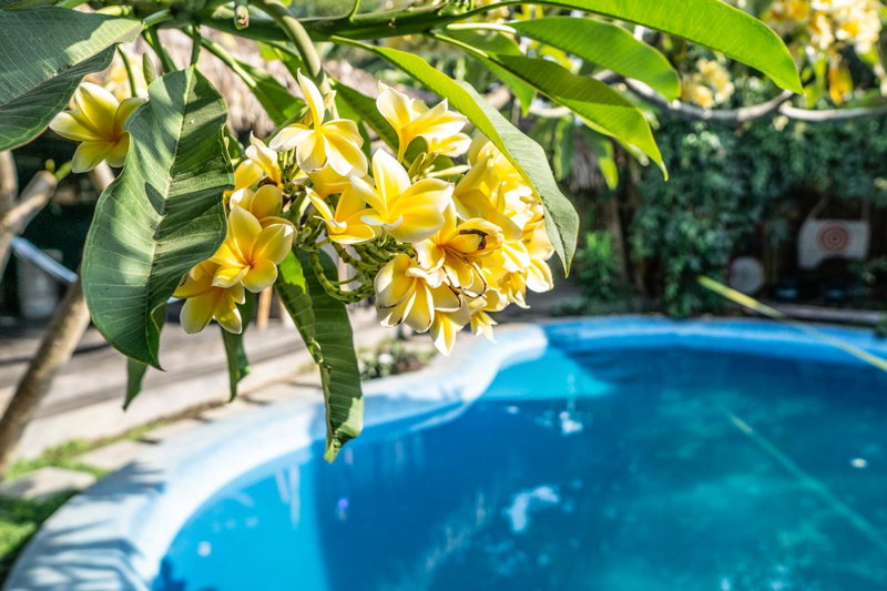 Losmanos Hostel, Yogyakarta, Indonesia