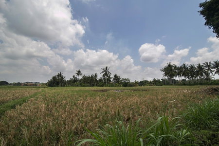 MariJo Villa, Ubud, Indonesia