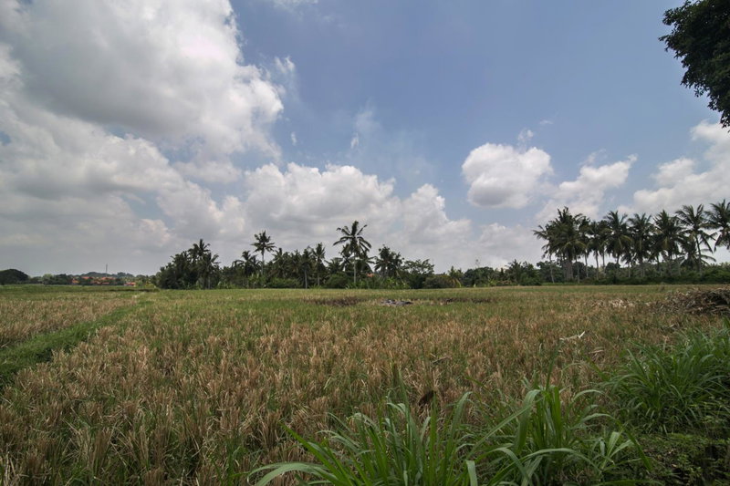 MariJo Villa, Ubud, Indonesia