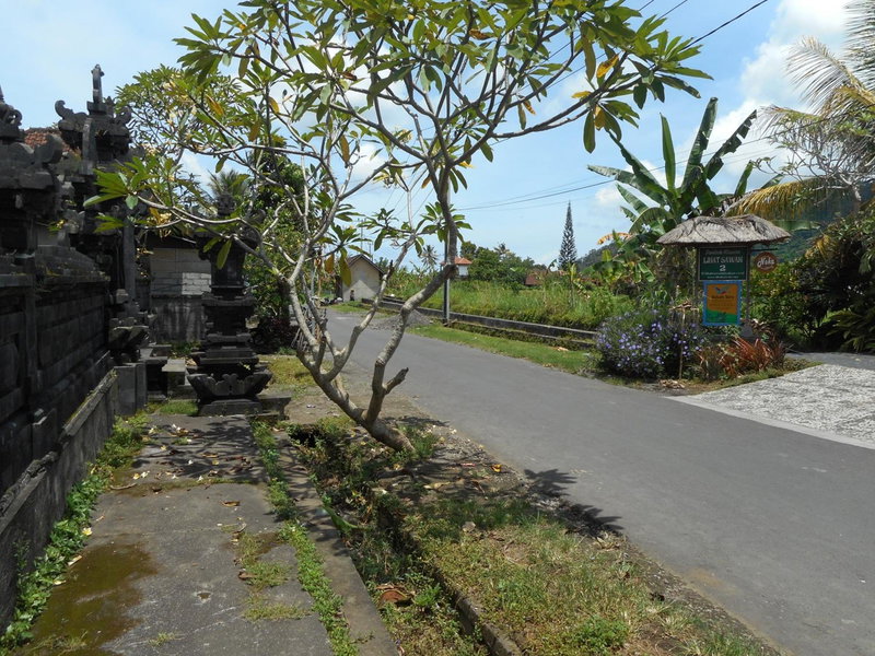 Eko Homestay, Sidemen, Indonesia