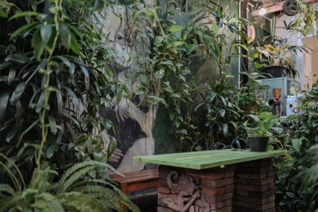 Snooze Guesthouse Yogyakarta - Hostel, Yogyakarta, Indonesia