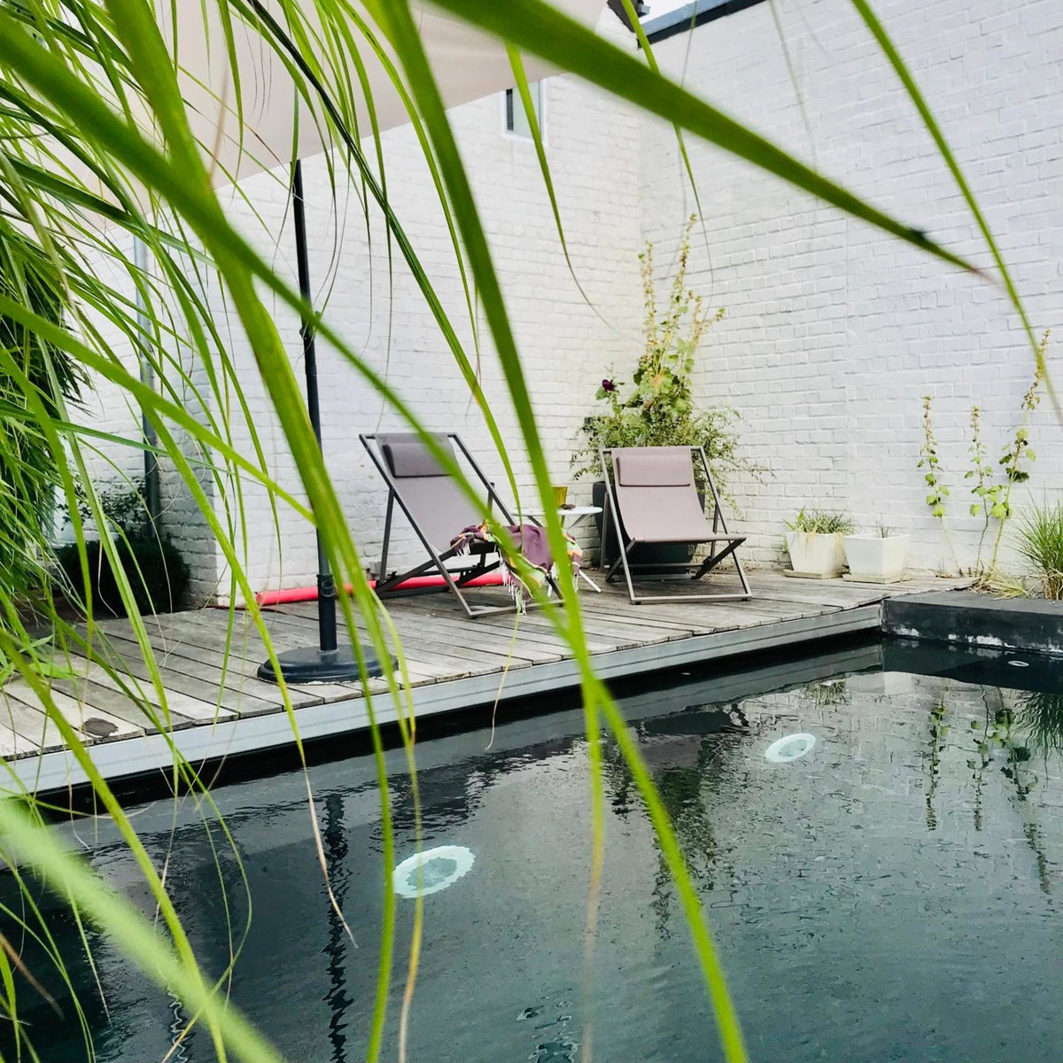 Hotel · B&B La Ruelle, Profondeville