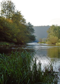 Woodstone, Herbeumont, Belgium