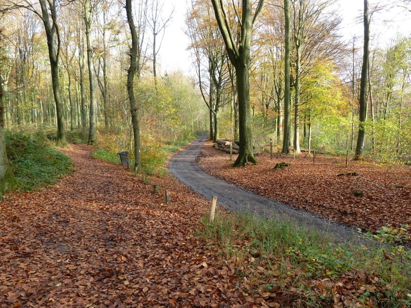 Entre monts et collines B&B et spa en option, Mont-de-l'Enclus, Belgium