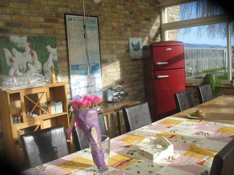 B&B Greenhouse 37, Langemark, Belgium