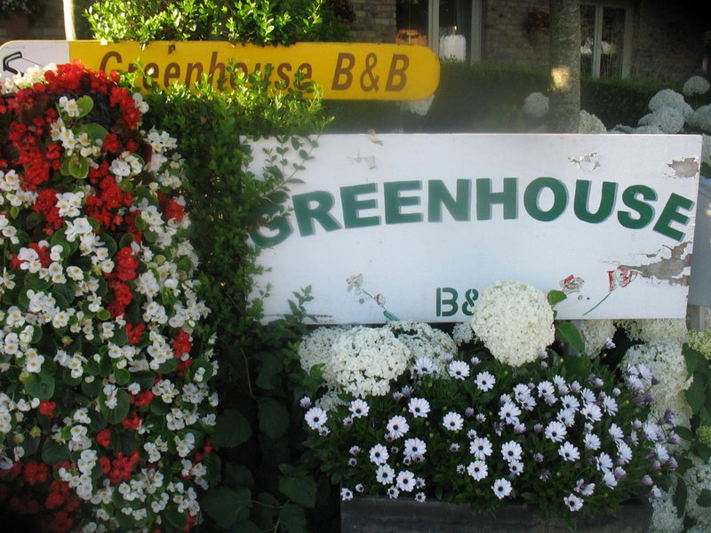B&B Greenhouse 37, Langemark, Belgium