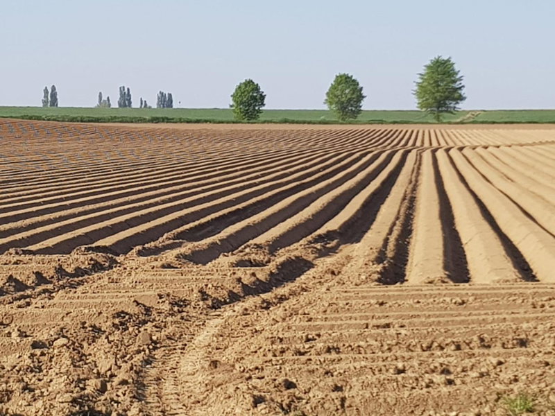 Boslucht Leuven, Heverlee, Belgium