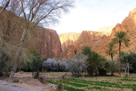 Dar Ayour Todra Gorges, Aït Baha, Morocco