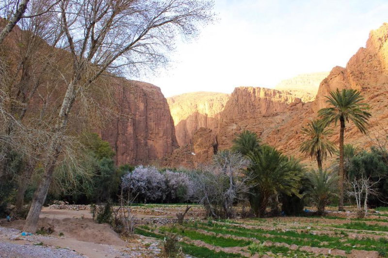 Dar Ayour Todra Gorges, Aït Baha, Morocco