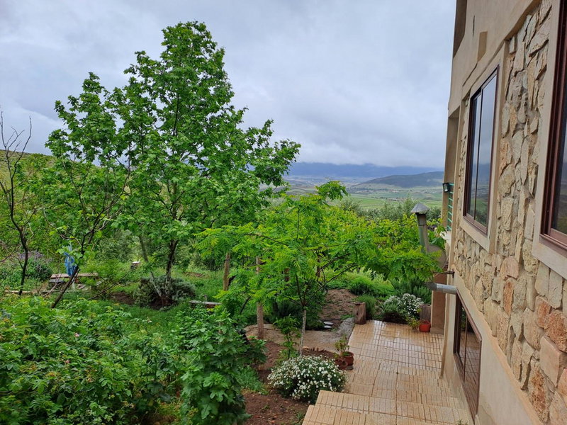 Le Chêne d´Azrou, Azrou, Morocco