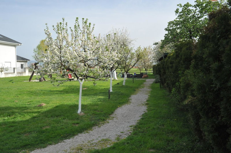 Sobe - Klet Cinkuš, Hrvatski Leskovac, Croatia