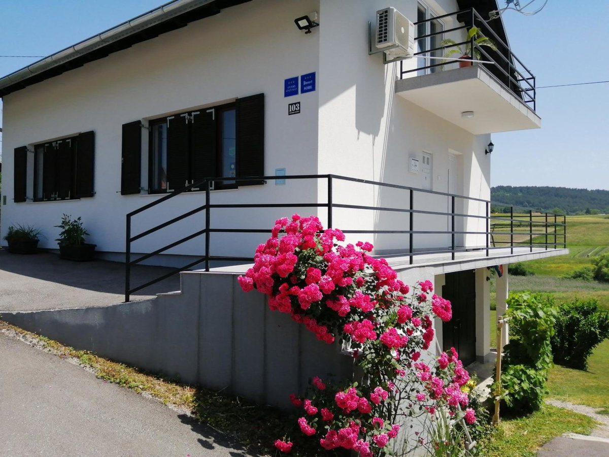 Hotel · VIP Apartments & Room, Rakovica