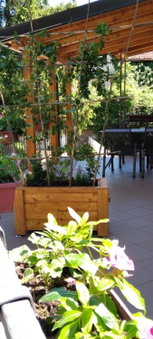 Apartment Matulji, Matulji, Croatia