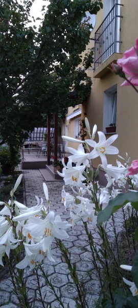 Apartment Matulji, Matulji, Croatia