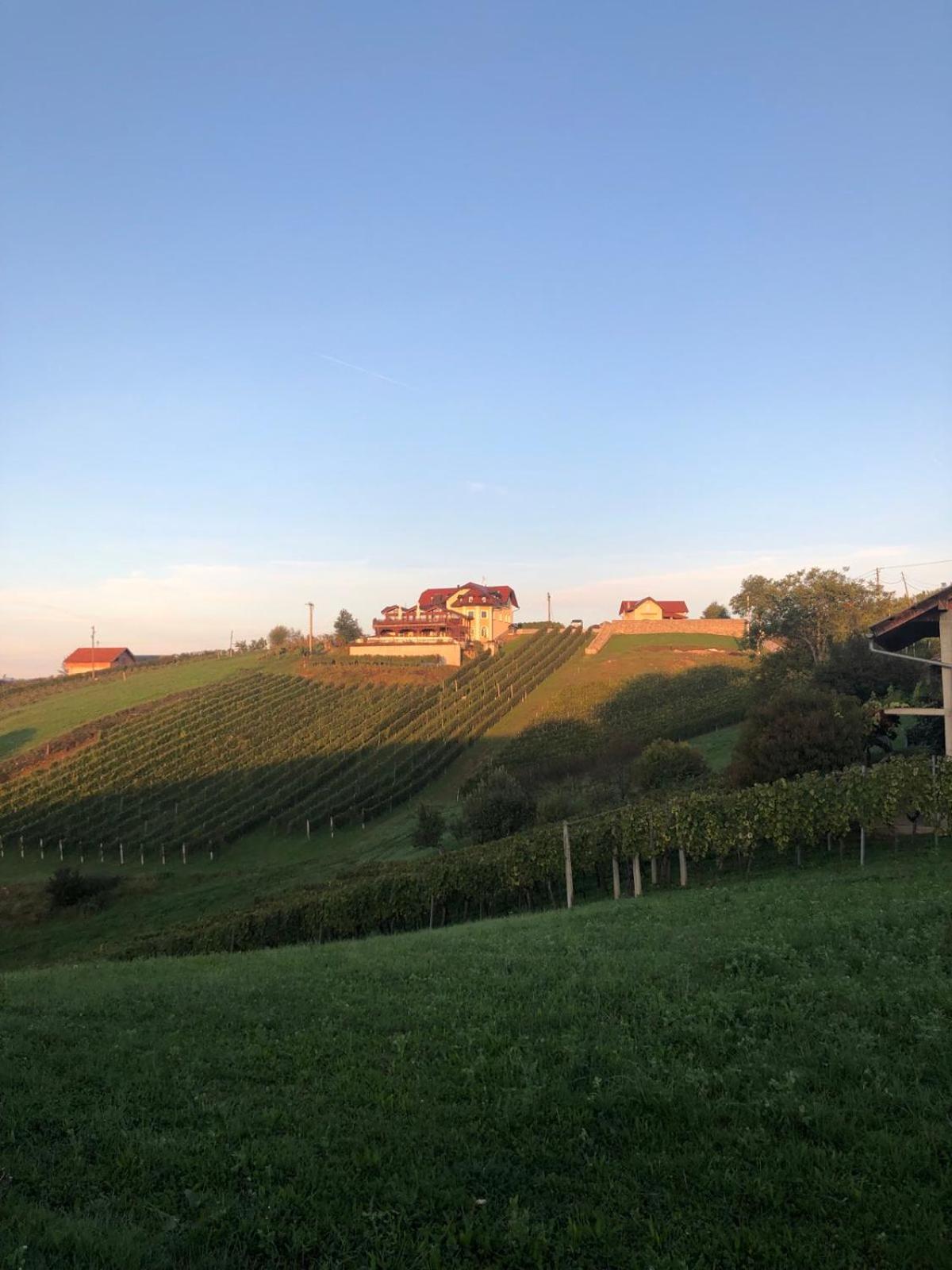 Hotel · B&B OPG Culig, Ozalj