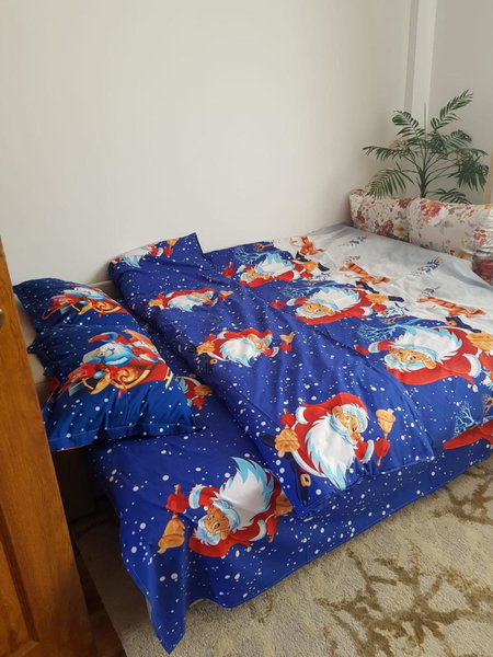 Garsoniera Mihaela, Petroşani, Romania
