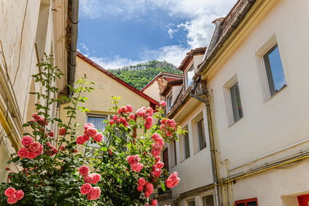 Sun x Mountains - Strada Sforii, Braşov, Romania
