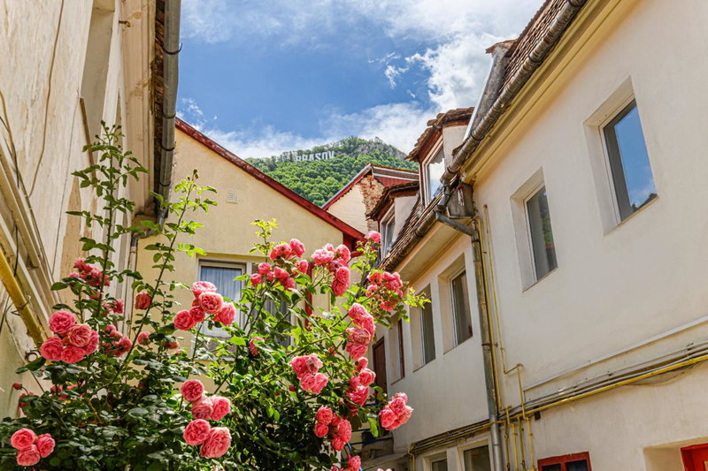 Sun x Mountains - Strada Sforii, Braşov, Romania
