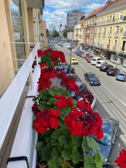 Katy Boulevard Apartman, Satu Mare, Romania