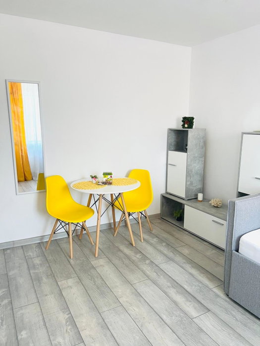 Miha modern and central apartament, Arad, Romania
