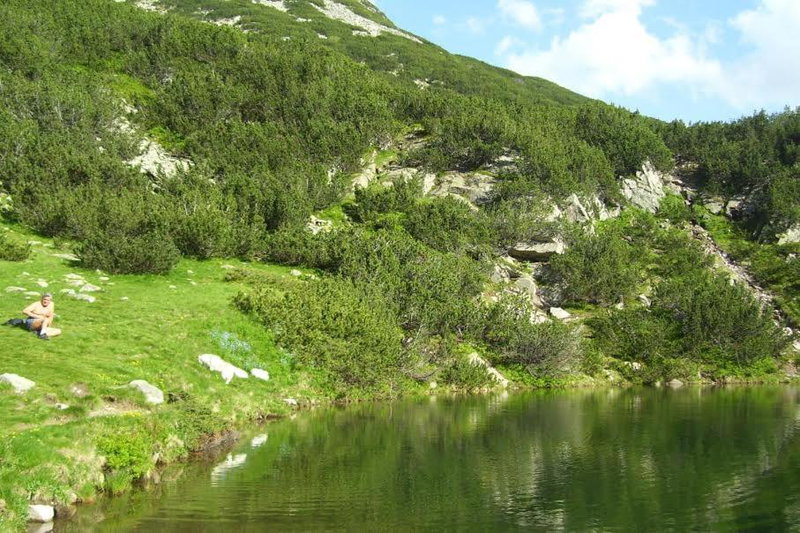 Apartments Four Leaf Clover Bansko to rent, Bansko, Bulgaria