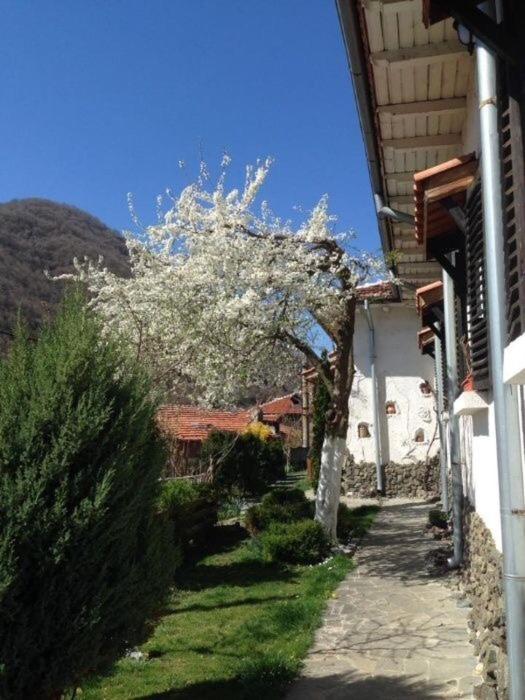 Къща за гости Спасителна, Brezhani, Bulgaria