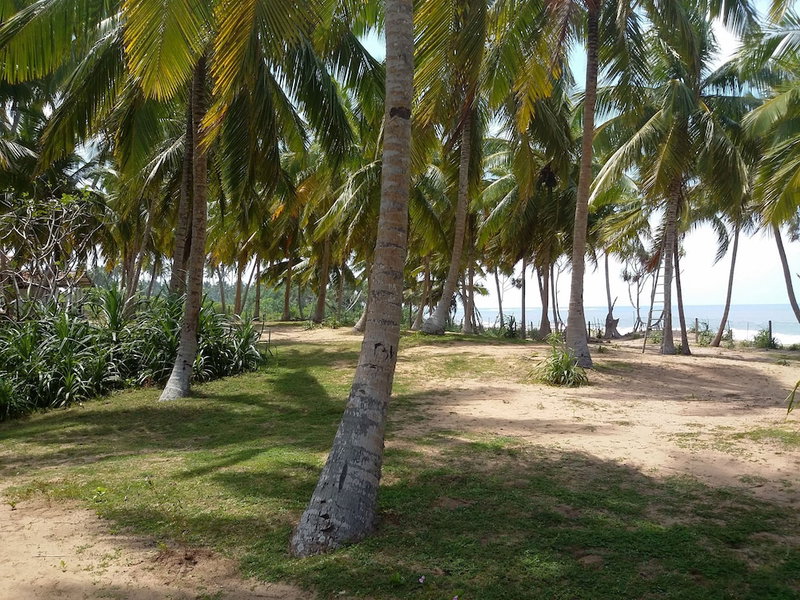 Helios Beach Resort, Rekawa, Sri Lanka