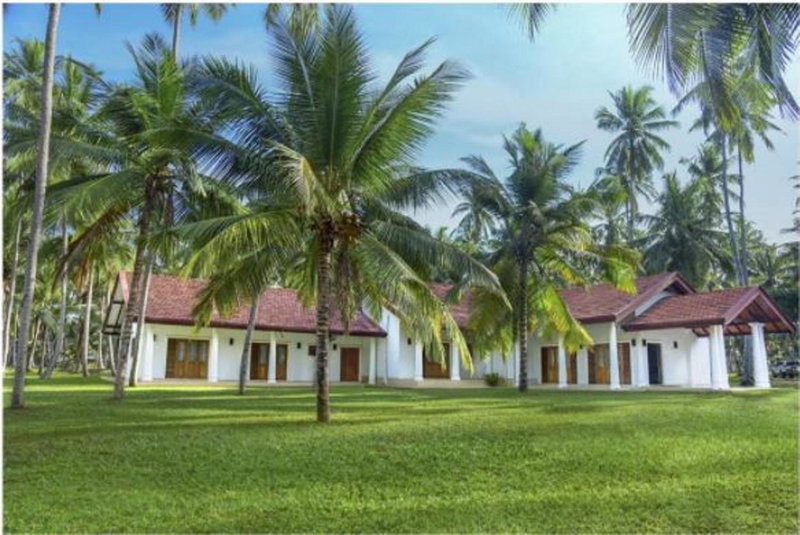 Coco Villa Peach Tree, Katunayake, Sri Lanka