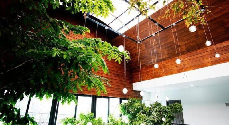 Green Oasis Hotel, Phường Sáu, Vietnam