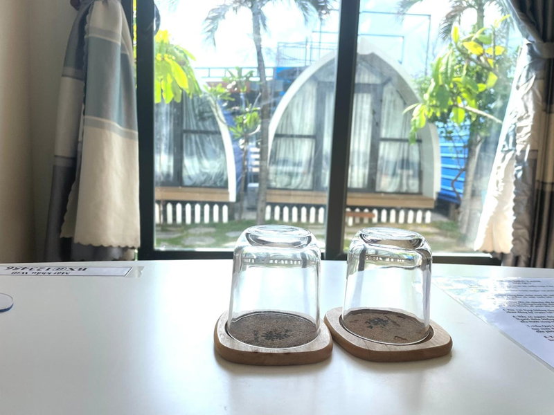 Villa Biển Xanh 1 - View Biển Đảo Phú Quý, Cu Lao Thu, Vietnam