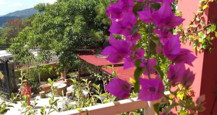 Trăng Non House, Da Lat, Vietnam