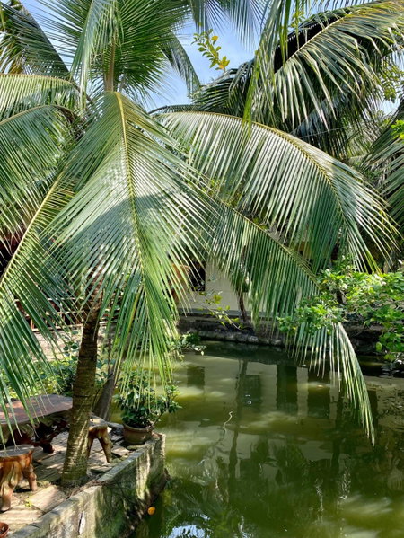 Khách sạn Sao Mai, Ben Tre, Vietnam