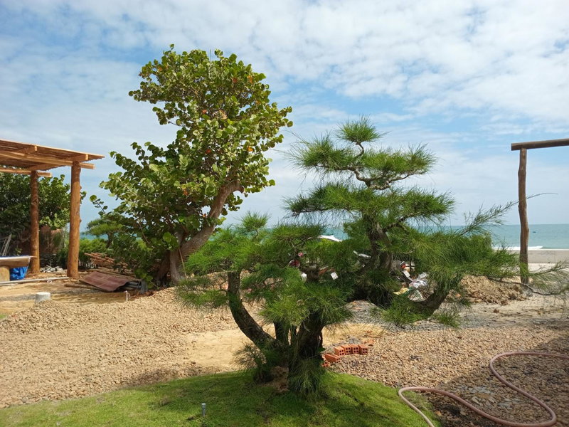 Homestay Phú Yên - Tuy Hòa - Long Thủy Song Ngư House, Tuy Hoa, Vietnam
