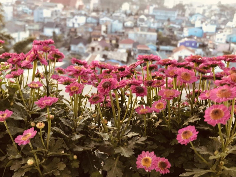 Ha Khoa Hotel Dalat, Da Lat, Vietnam