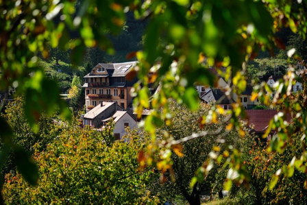 LE CLOS DES SOURCES Hôtel & Spa, Thannenkirch, France