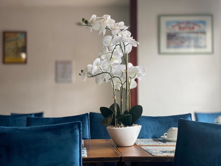 Hotel le Pasteur, Royan, France