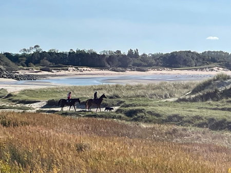 Le Relais des Iles, Coudeville, France