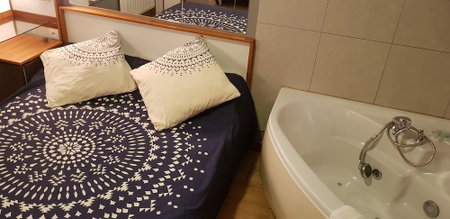 Hotel Eco Logis Bellevue Pyrénées, Semeac, France