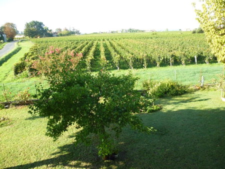Le Clos des Rosiers, Saint-Émilion, France