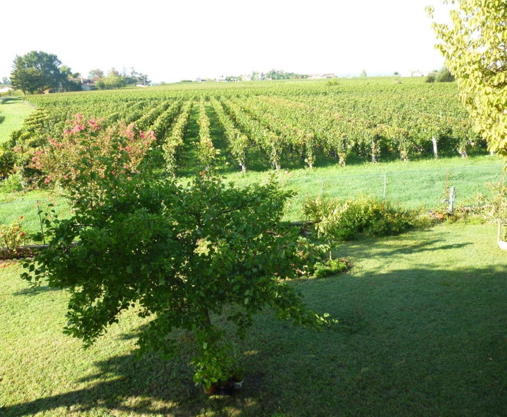 Le Clos des Rosiers, Saint-Émilion, France
