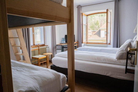 Hôtel Au Vieux Moulin Hôtel Vintage, Lapoutroie, France