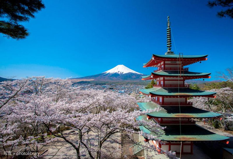 Fuji Sakura House, Fujikawaguchiko, Japan