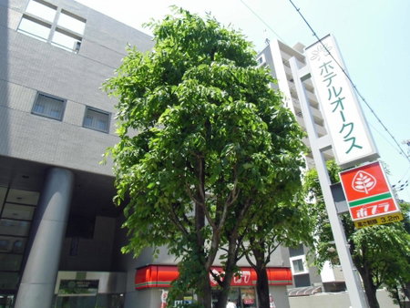 Hotel Oaks Early-Bird Osaka Morinomiya/ Vacation STAY 28691, Osaka, Japan
