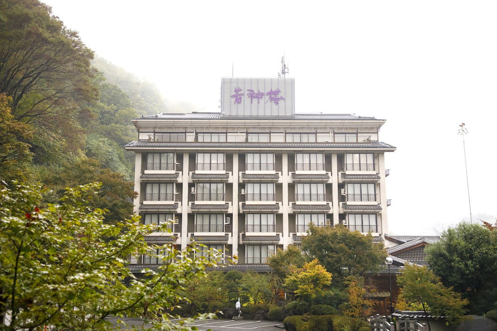 Wakamiro, Japan
