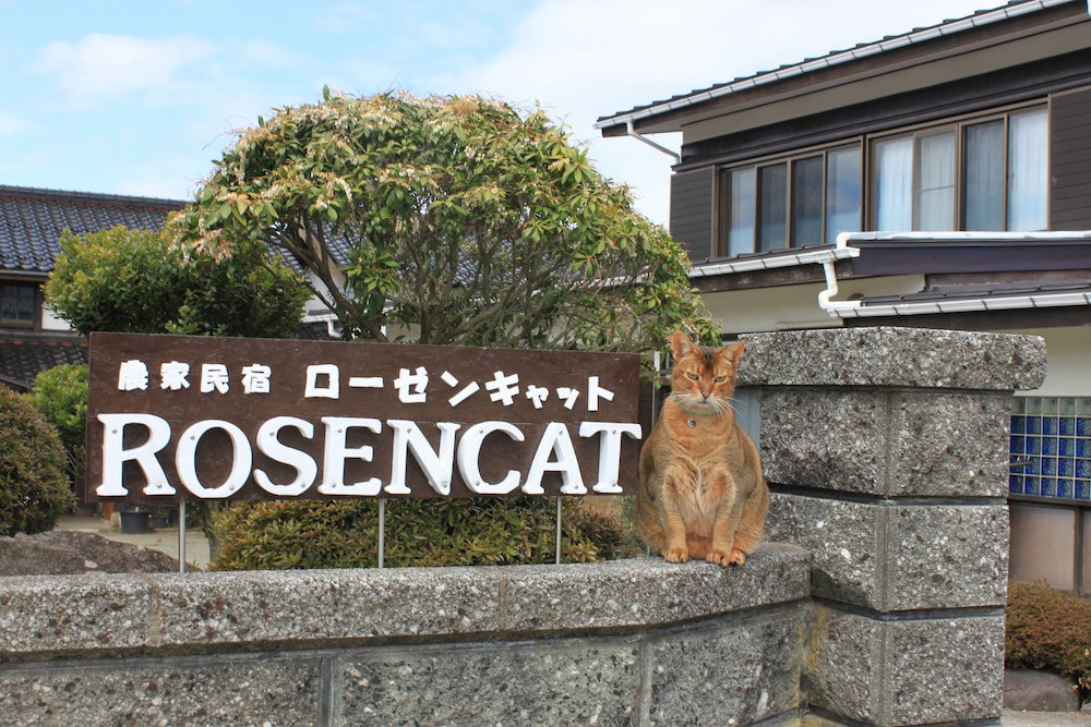 Rosencat, Japan