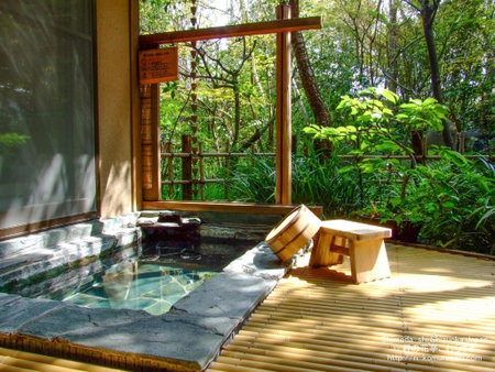 Nonohanatei komurasaki, Shimoda, Japan