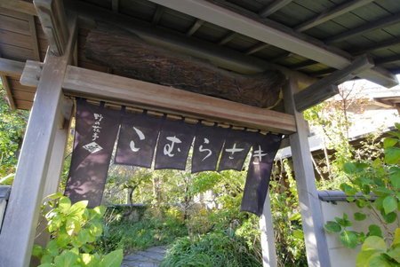Nonohanatei komurasaki, Shimoda, Japan